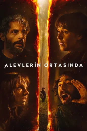 ملصق Alevlerin Ortasında