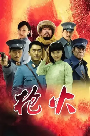 Постер 枪火