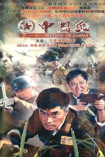 生死归途 afişi