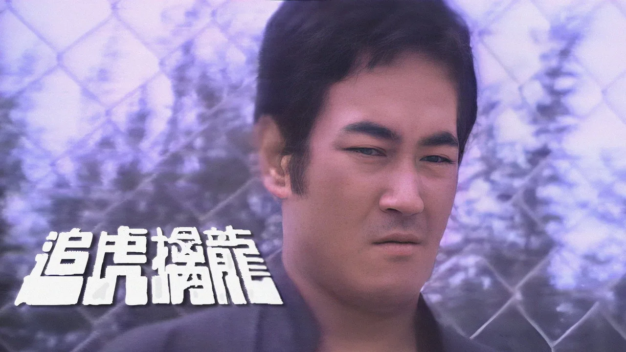 追虎擒龍
