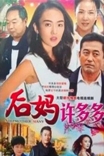 ملصق 后妈许多多