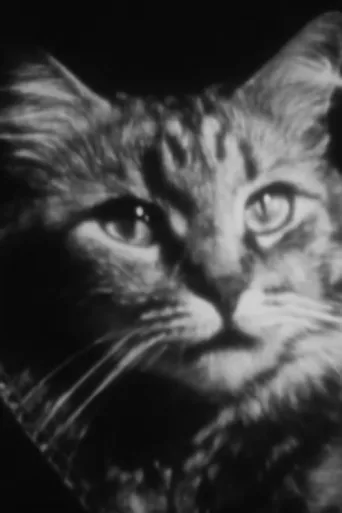 The Private Life of a Cat afişi
