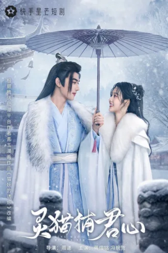 Póster de 灵猫捕君心