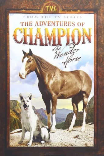 The Adventures of Champion afişi