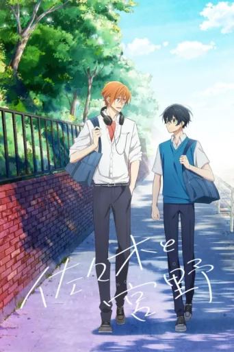 Постер Sasaki and Miyano