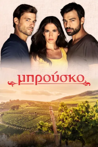 Póster de Brusko