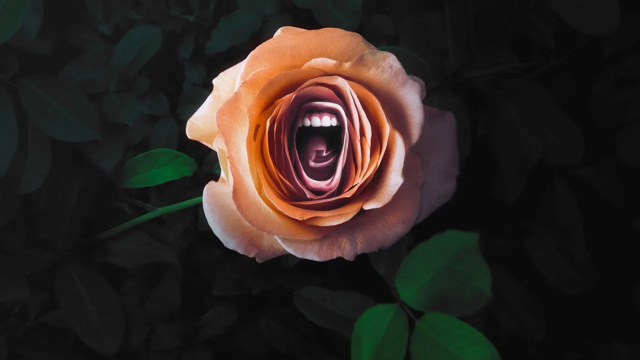 Fondo para Roar