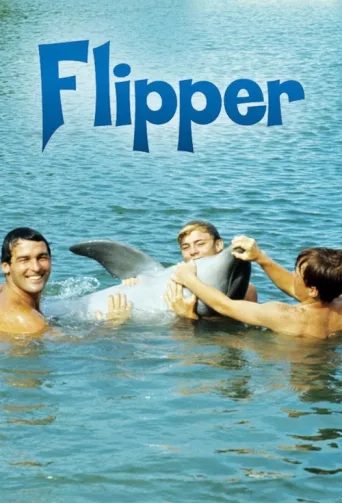 Flipper afişi