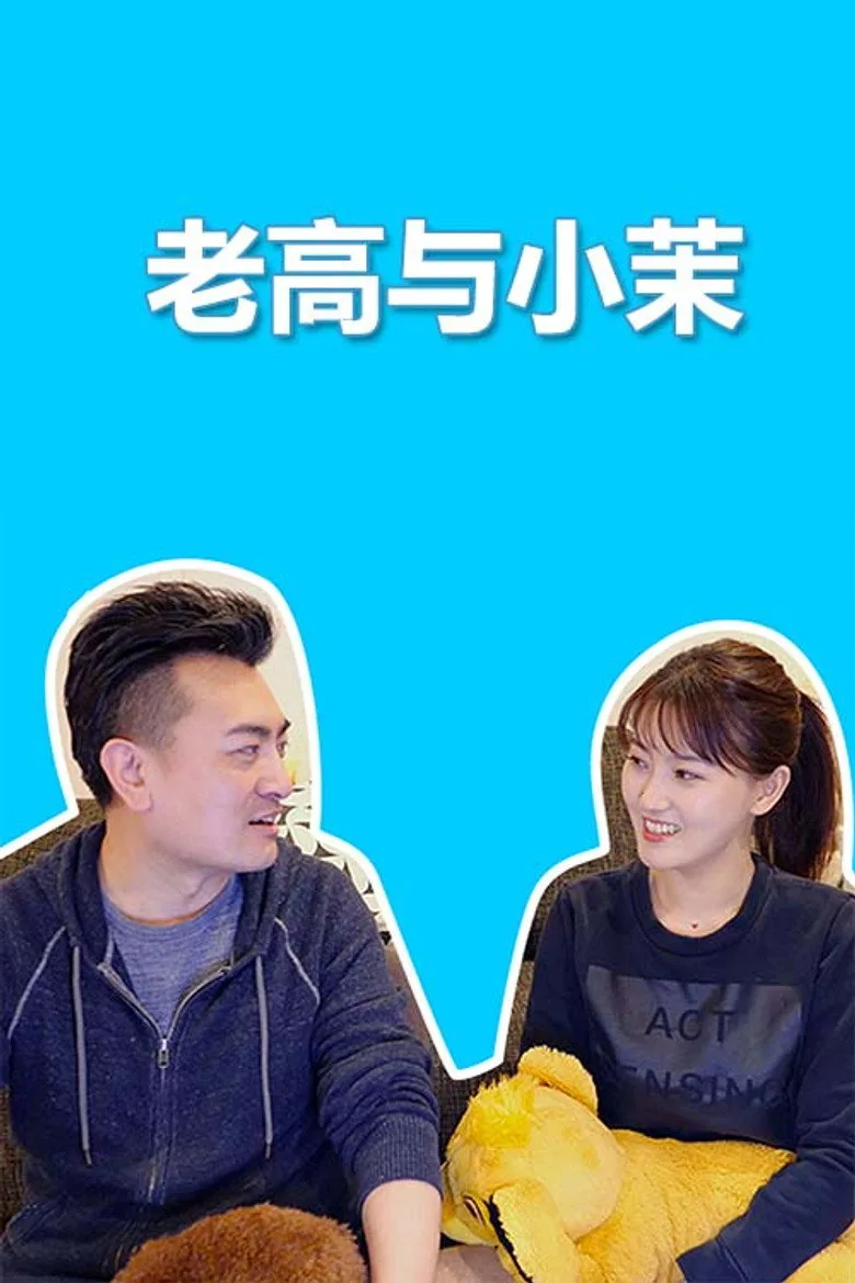 Mr & Mrs Gao poster