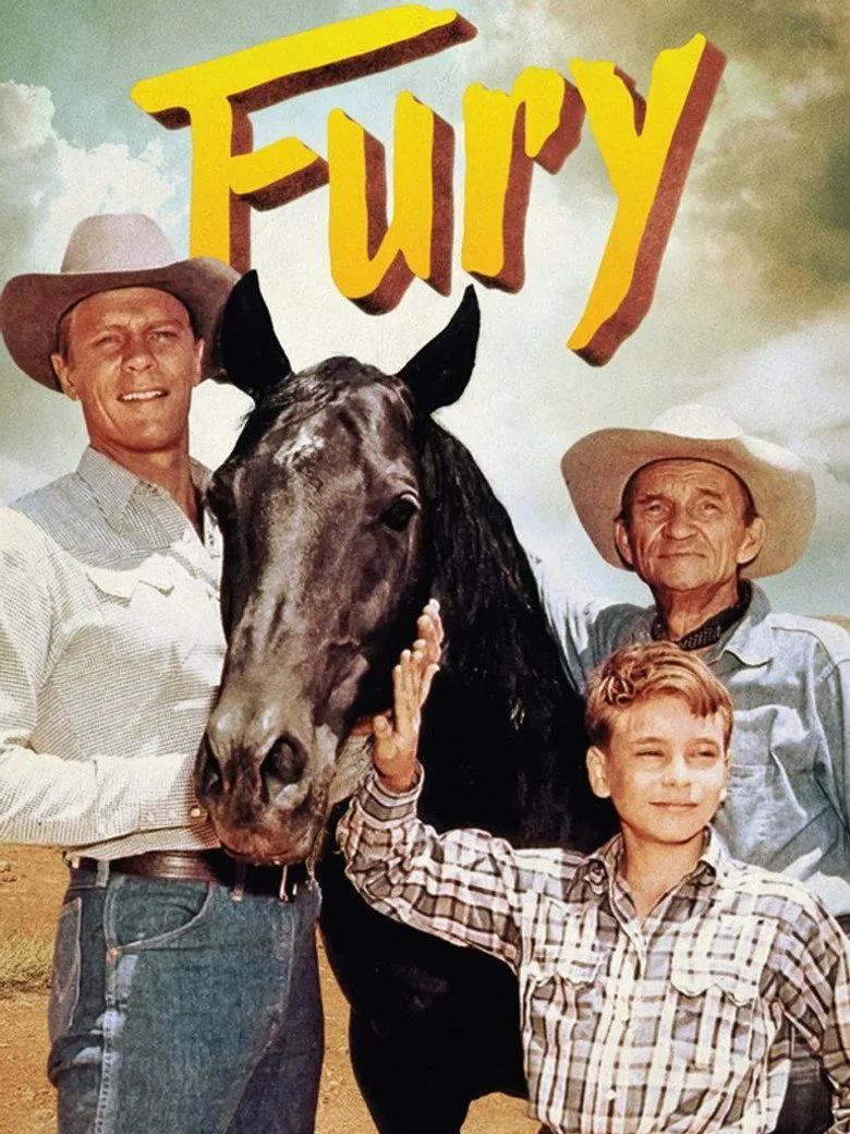 póster de Fury