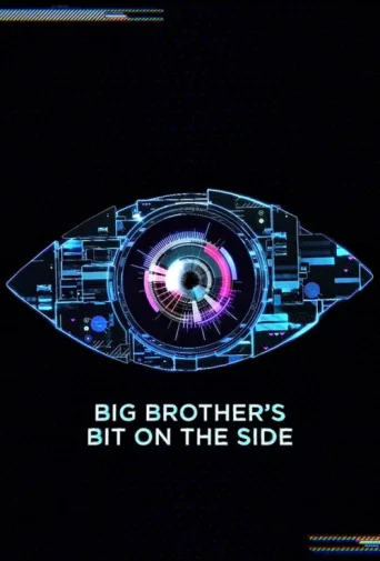 Постер Big Brother's Bit on the Side