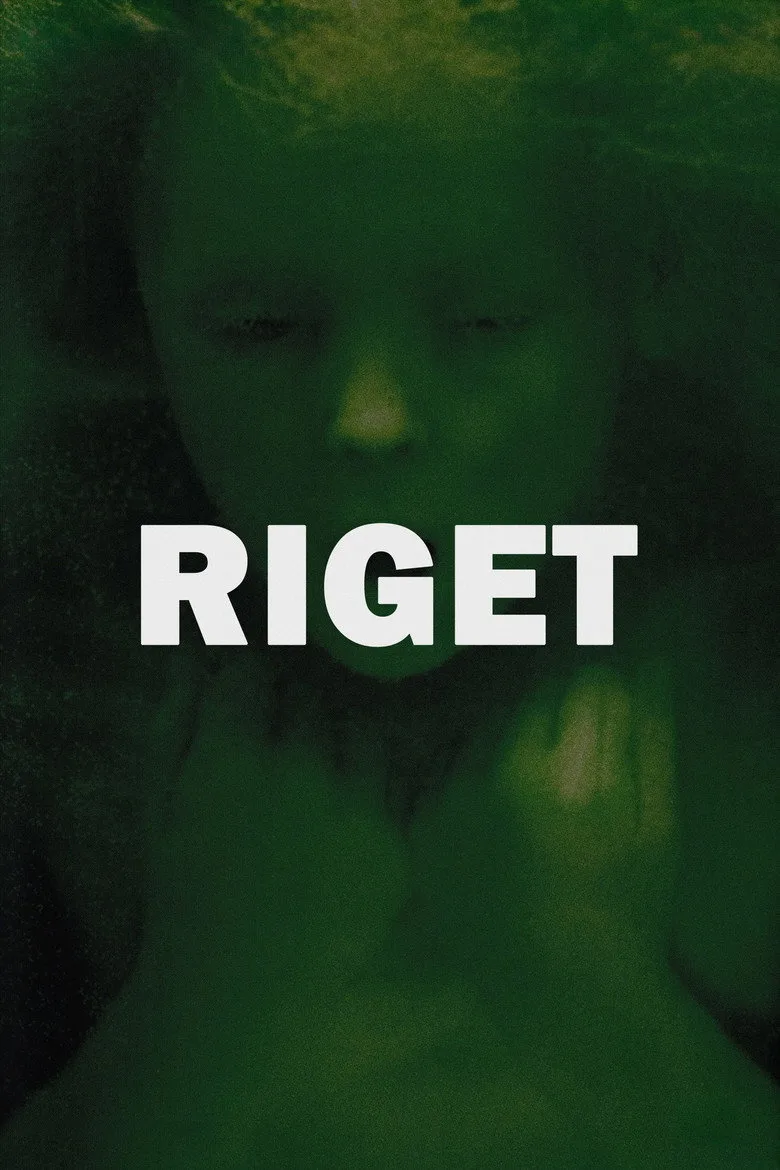Riget poster