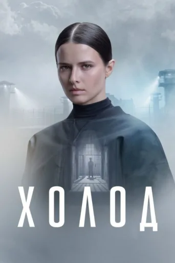 Póster de Cold