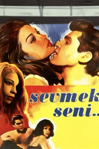 Poster for Sevmek Seni