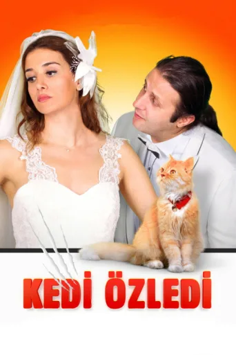 Постер Kedi Özledi