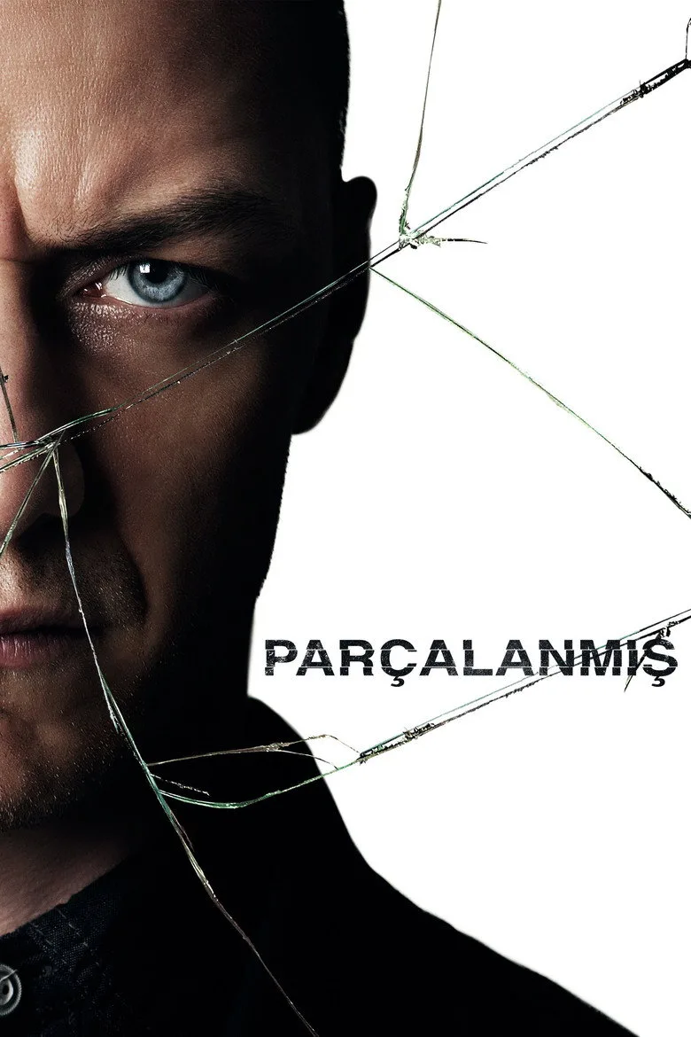 ملصق Parçalanmış