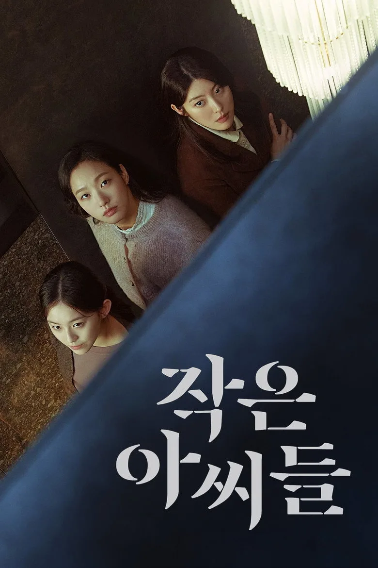 Little Women posteri