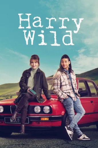Постер Harry Wild
