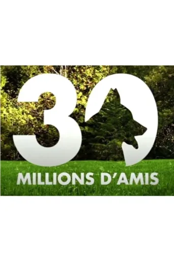 Постер 30 millions d'amis