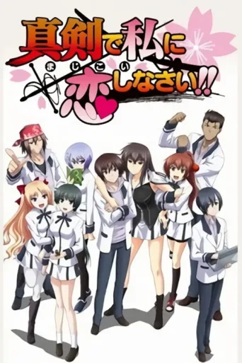 Póster de Majikoi - Oh! Samurai Girls