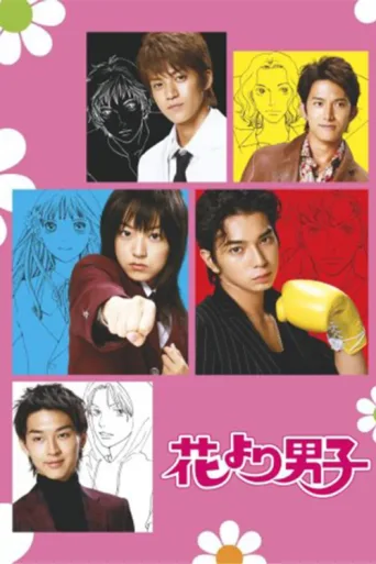 Постер BOYS OVER FLOWERS