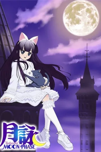 Постер MoonPhase