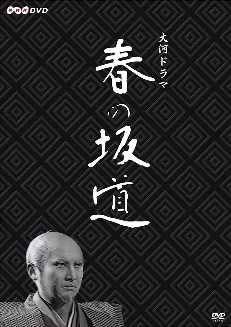 Haru no Sakamichi posteri