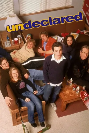 Póster de Undeclared