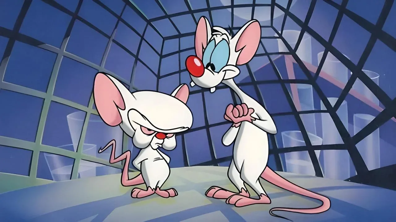 Pinky and the Brain için arka plan görseli
