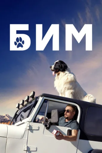 Póster de Fetch!