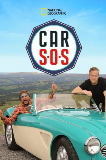Póster de Araba S.O.S.