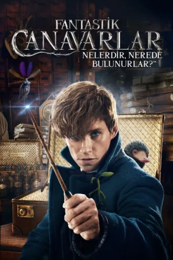 Постер Fantastik Canavarlar Nelerdir, Nerede Bulunurlar?