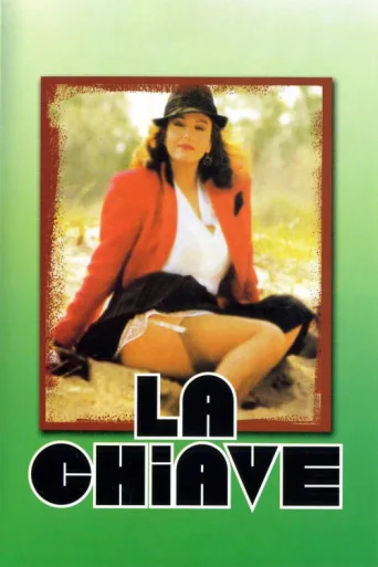 Póster de Anahtar