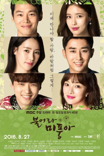 Poster for Windy Mi Poong