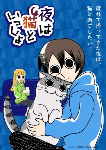 Póster de Nights with a Cat
