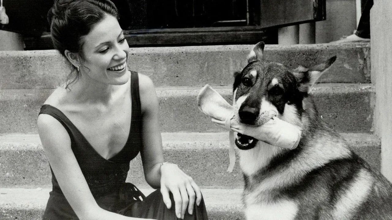 خلفية لـ The Littlest Hobo