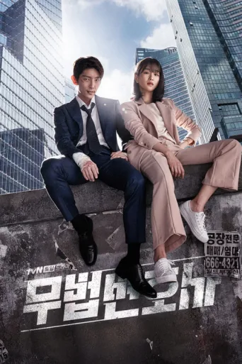 Póster de Lawless Lawyer