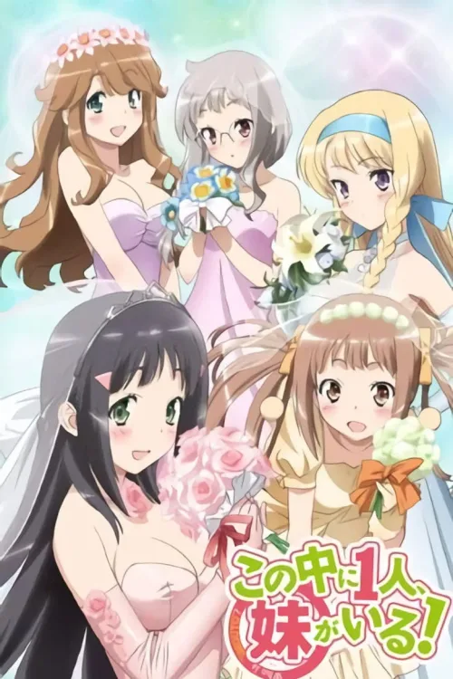 この中に1人、妹がいる!