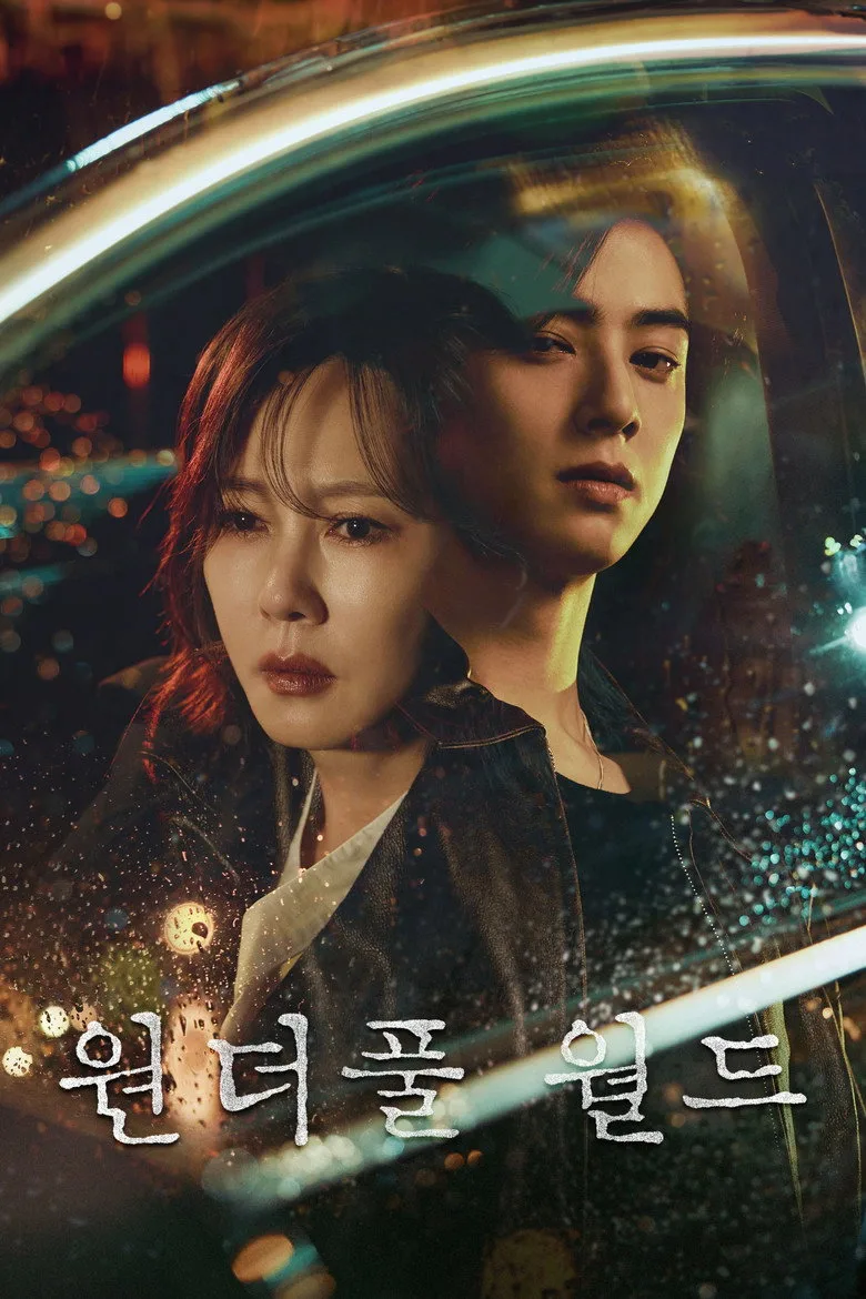 Wonderful World poster