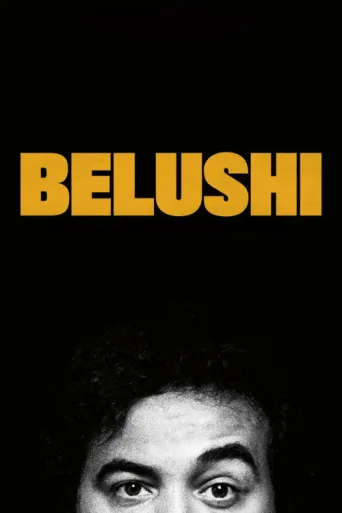 Póster de Belushi