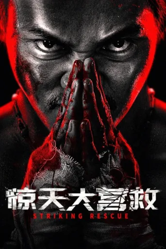 Póster de Striking Rescue