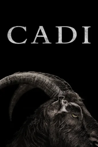 Постер Cadı