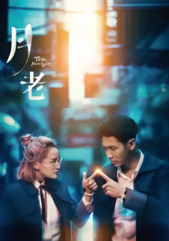 Poster for Till We Meet Again