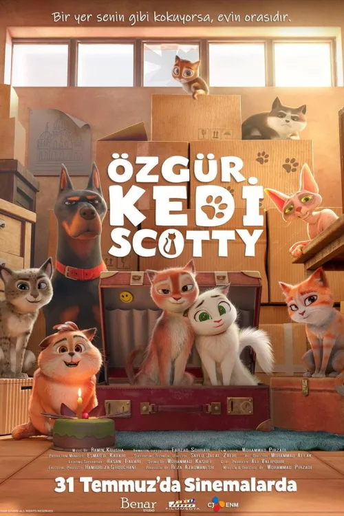 Scotty
