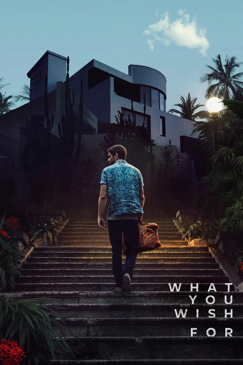 póster de What You Wish For