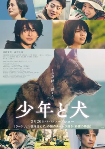 Постер The Boy and the Dog
