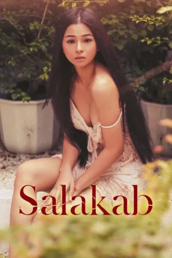 Poster for Salakab