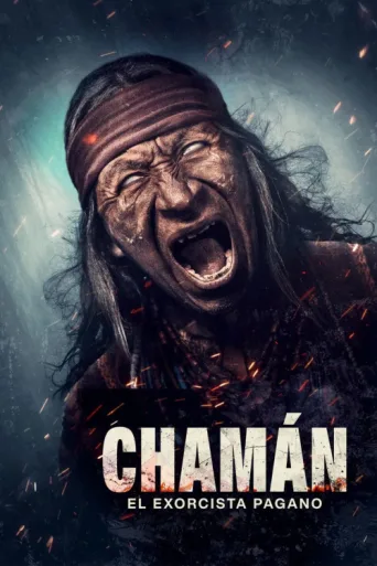 Póster de Şaman Ayini