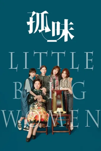 Póster de Little Big Women