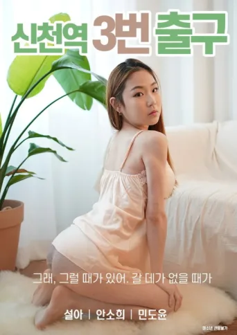 Póster de Sincheon Station Exit 3